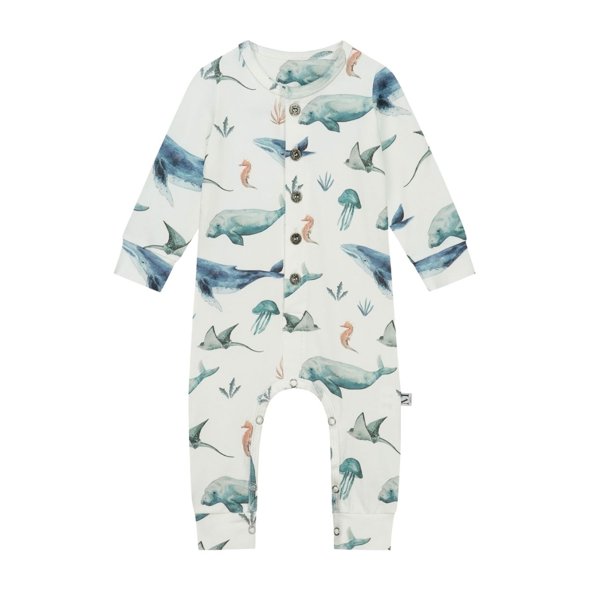 Boxpakje | Sea Life