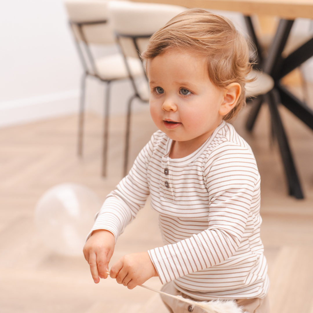 Longsleeve | Taupe Stripes Rib