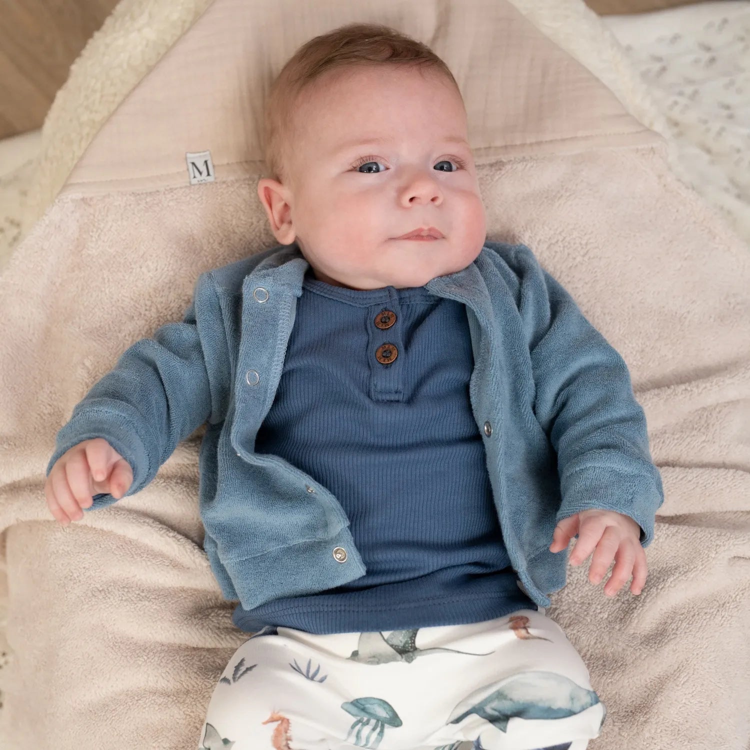 Button-longsleeve-blauw-Vestje-badstof-blauw_Momandminis.jpg