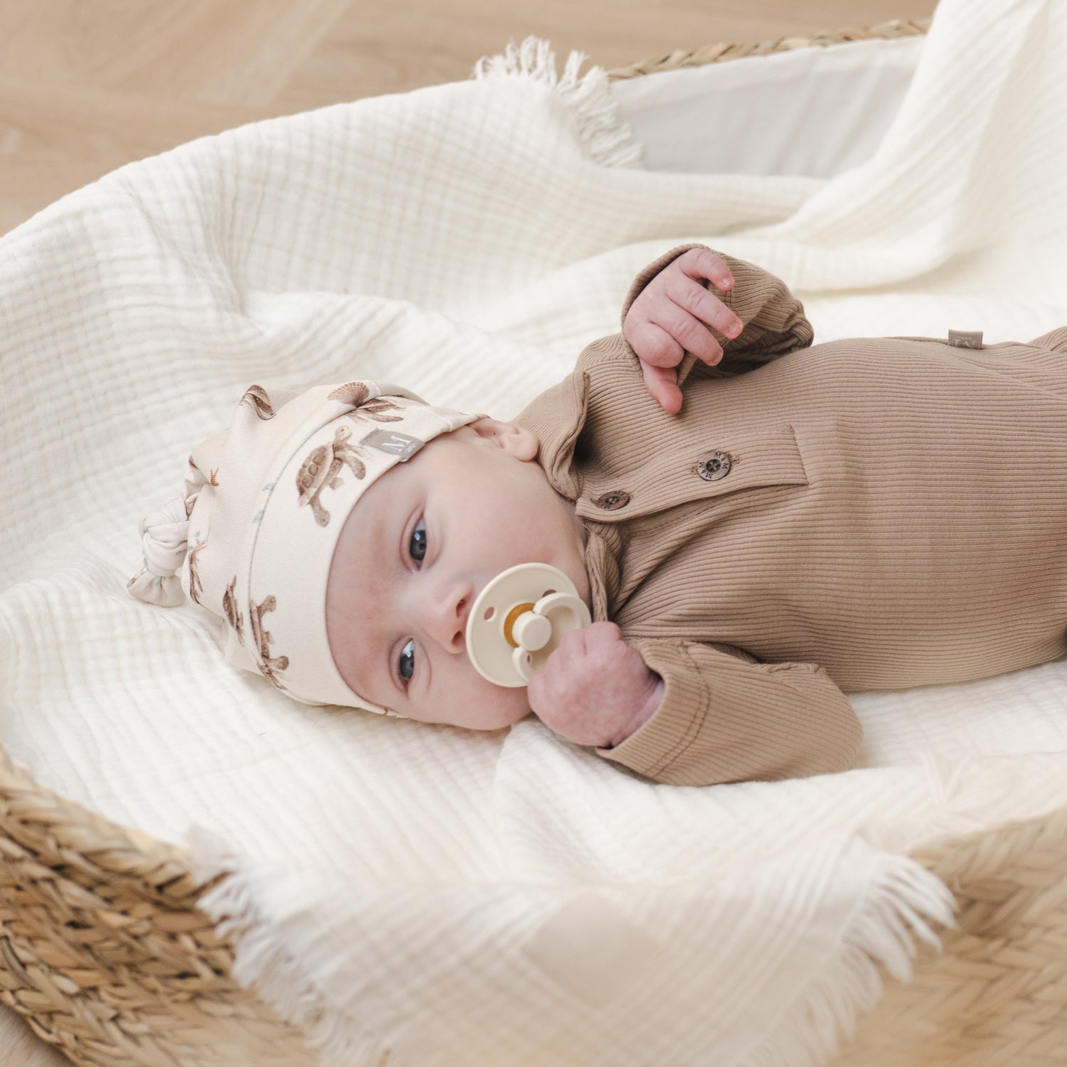 Newborn mutsje sea turtles 2_Momsandminis