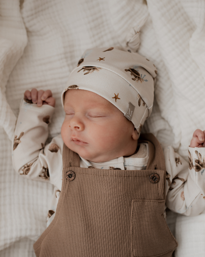 Newborn Mutsje | Sea Turtles