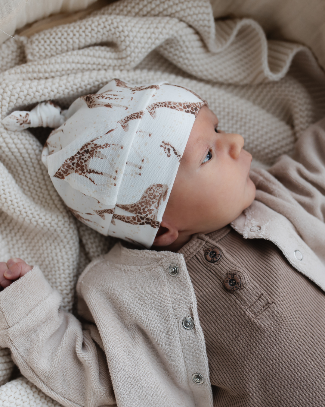 Newborn Mutsje | Giraffe