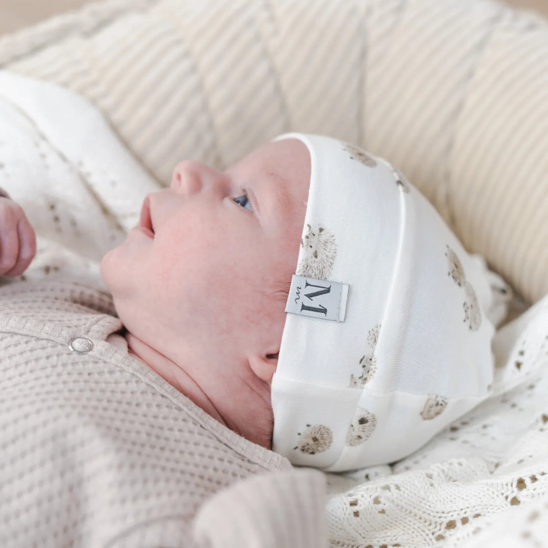 mutsje-egeltjes-momsandminisjpg