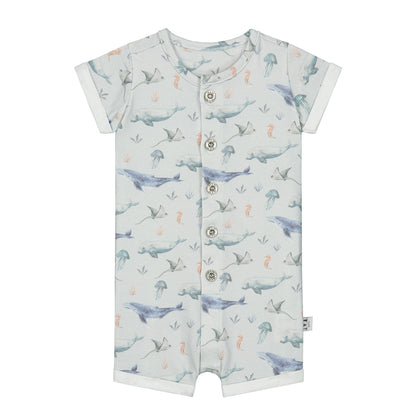 Zomerpakje_Blue sealife_Momsandminis